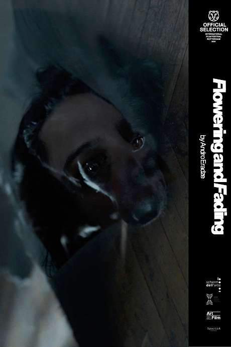 Flowering and Fading